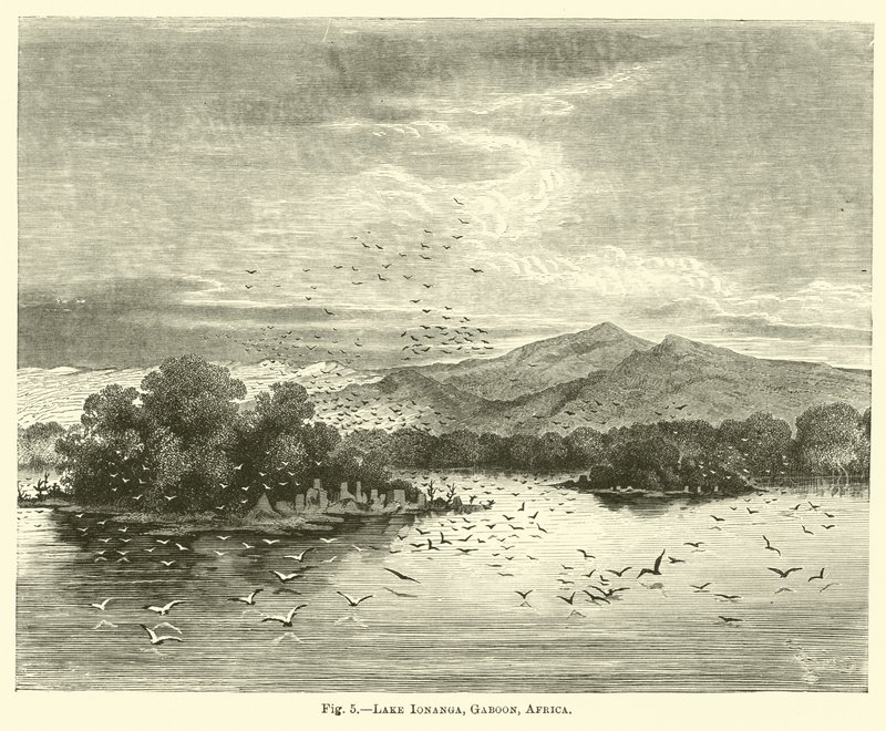 Lake Ionanga, Gabon, Afrika av English School