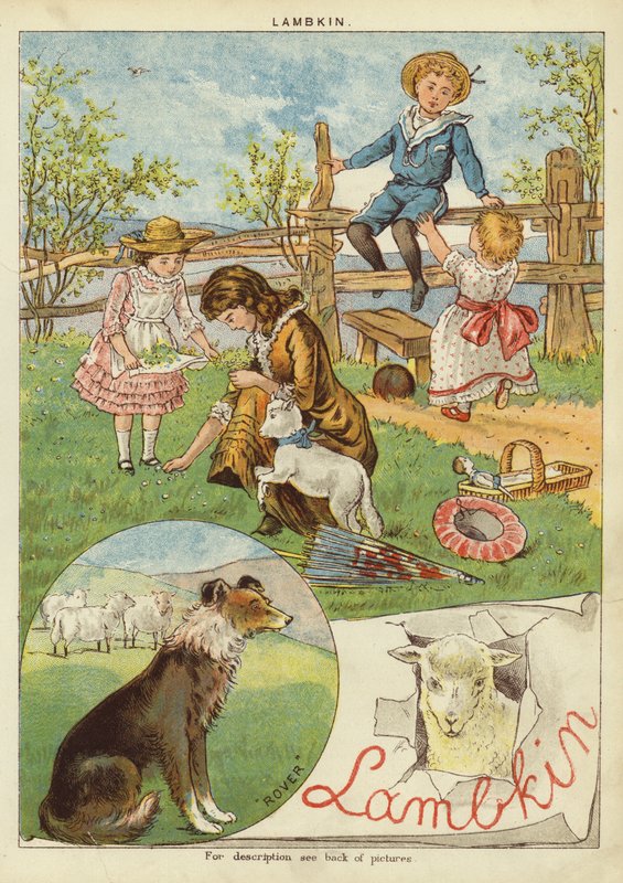 Lammekin (chromolitho) av English School