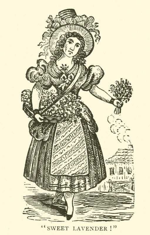 Lavendelselger (tresnitt) av English School