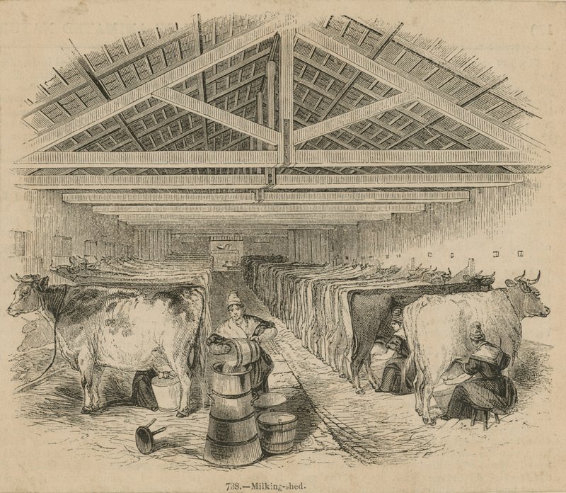 Laycocks Dairy Farm, datert juli 1841 av English School