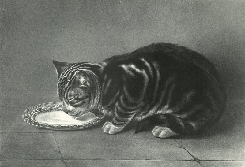 Le Gourmand, frosseren av English School