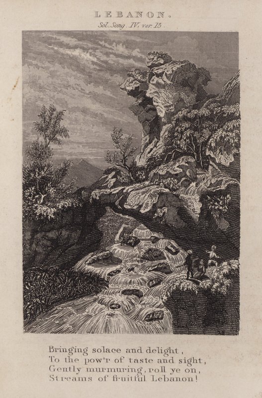 Libanon, Solomon Song IV, ver 15 (gravering) av English School