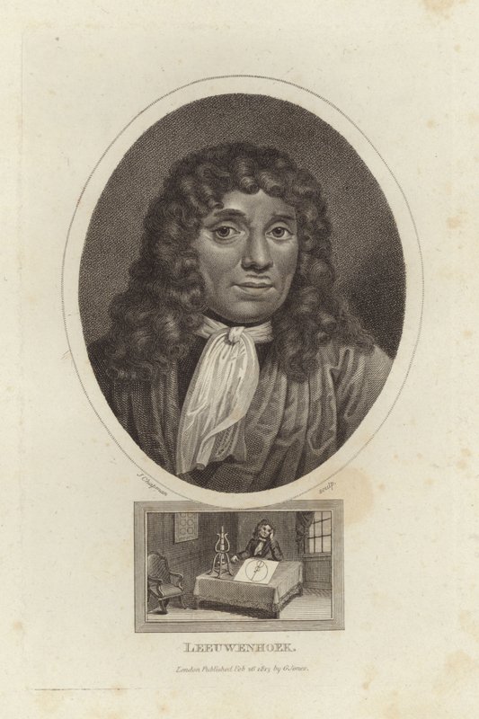 Leeuwenhoek av English School