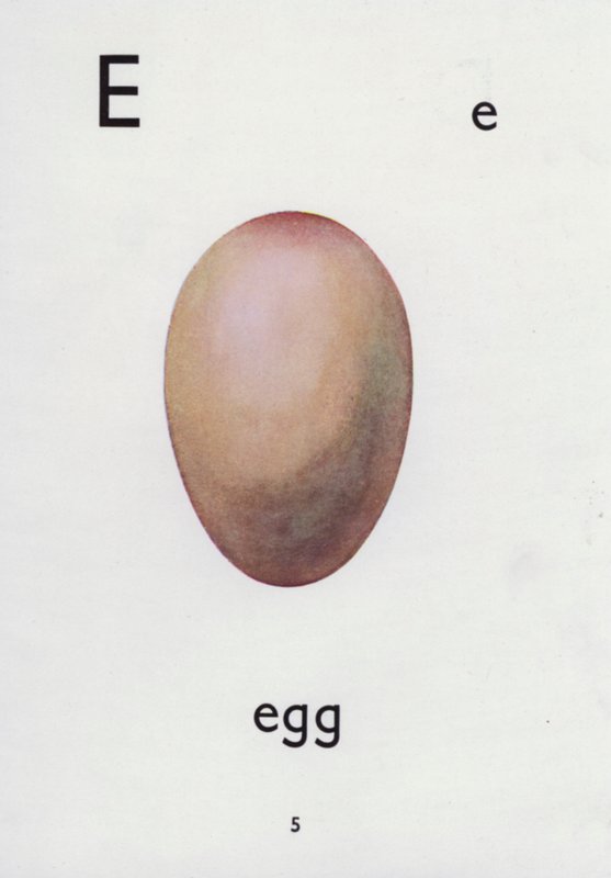 Bokstaven E, egg (farge litho) av English School