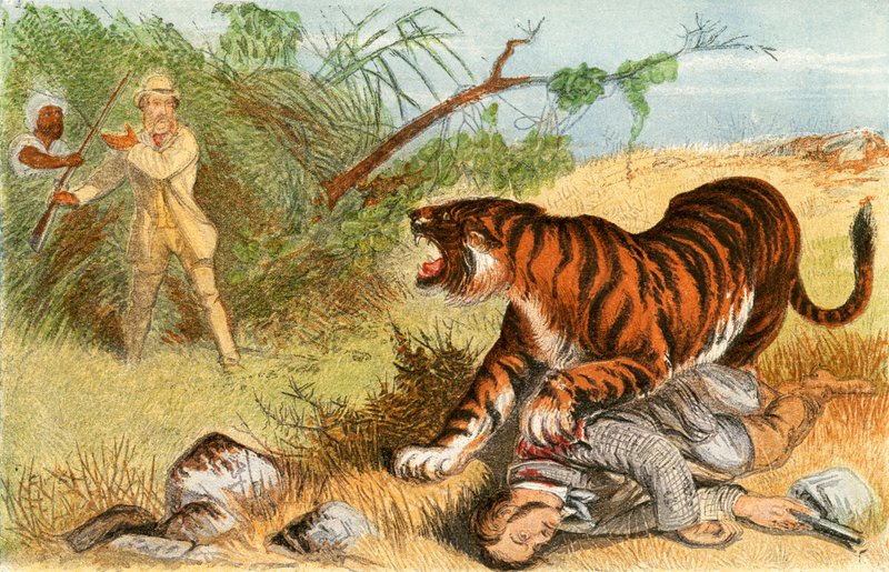 Løytnant Rice and the Tiger av English School