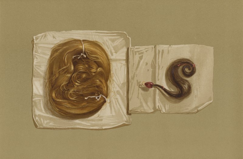 Lock of Hair of Mary Queen of Scots, Lock of Hair of King Charles I (chromolitho) av English School