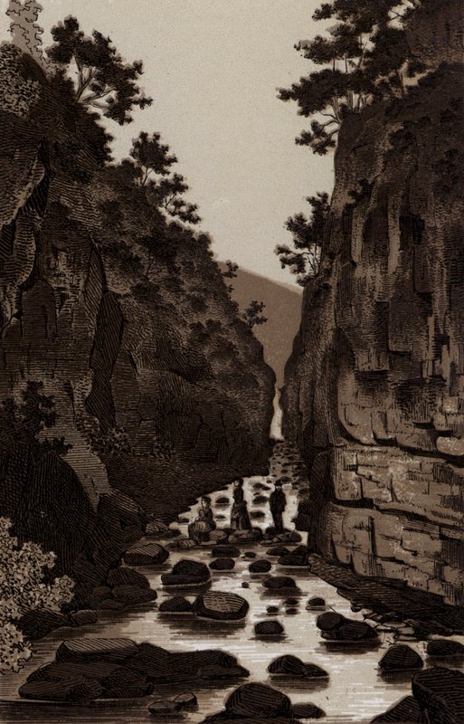 Lovers Leap (litho) av English School