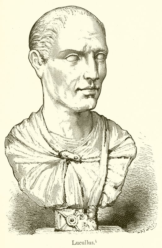 Lucullus av English School