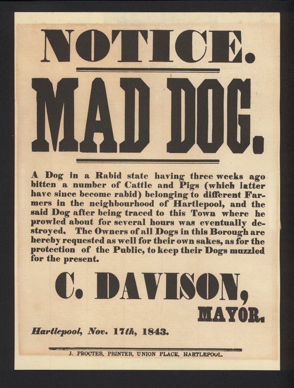 Mad dog notification, Hartlepool, 1843 av English School