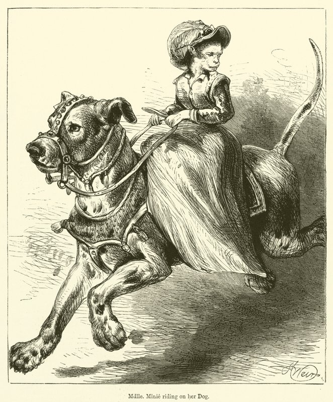 Mademoiselle Minie rir på hunden sin (gravering) av English School