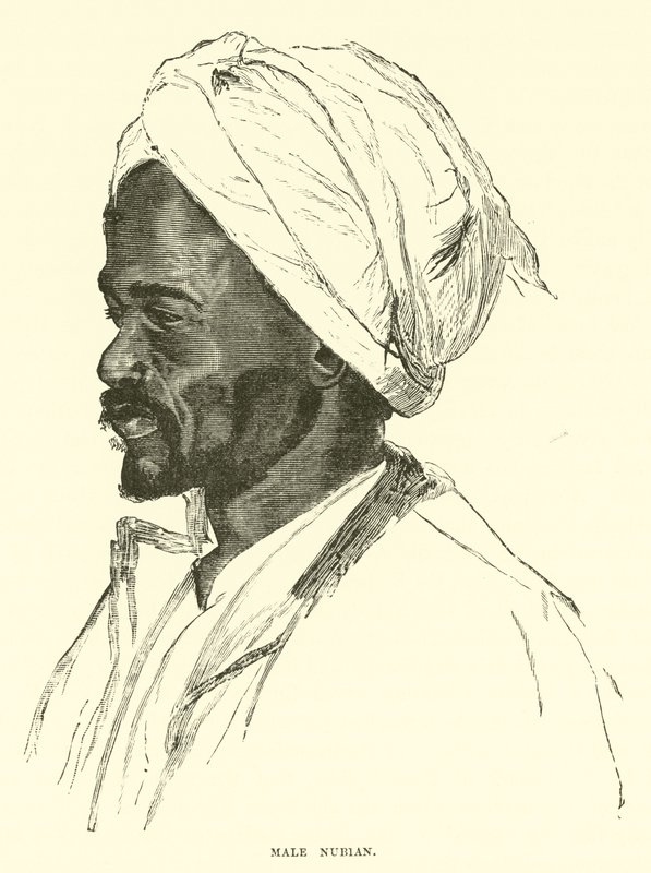 Mannlig nubian av English School
