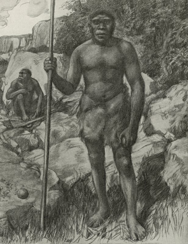 Mann hvis hodeskalle ble oppdaget i Rhodesia i 1921 av English School