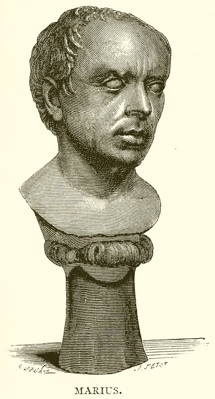 Marius av English School