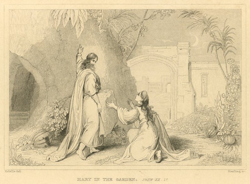 Maria i hagen, Johannes XX av English School