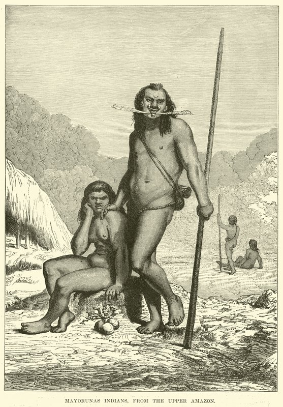 Mayorunas-indianere, fra øvre Amazonas av English School