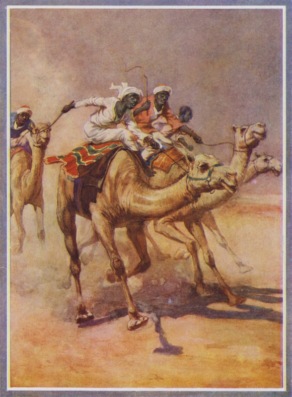 Menn som rir på kameler i et løp i ørkenen (farge litho) av English School