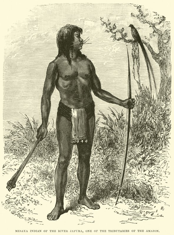 Mesaya-indianer fra elven Japura, en av sideelvene til Amazonas av English School