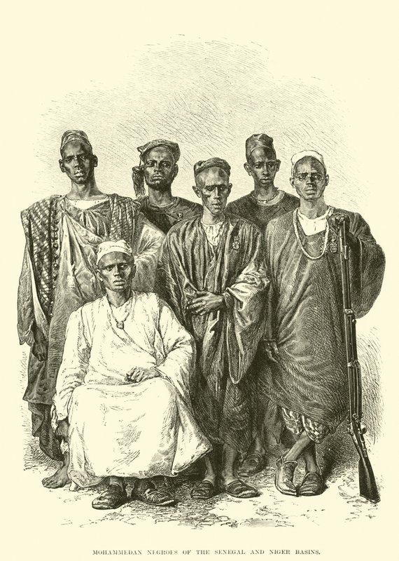 Muhammedanske negre fra Senegal- og Niger-bassengene (gravering) av English School