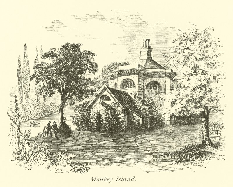 Monkey Island av English School