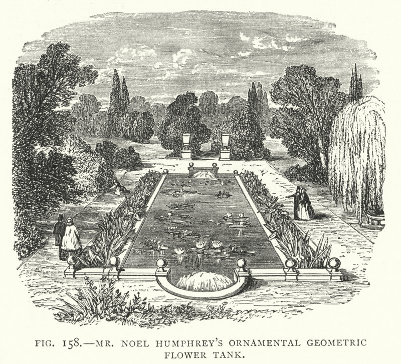 Mr Noel Humphreys dekorative geometriske blomstertank (gravering) av English School