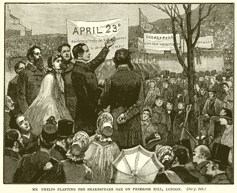 Mr Phelps planter Shakespeare Oak på Primrose Hill, London av English School