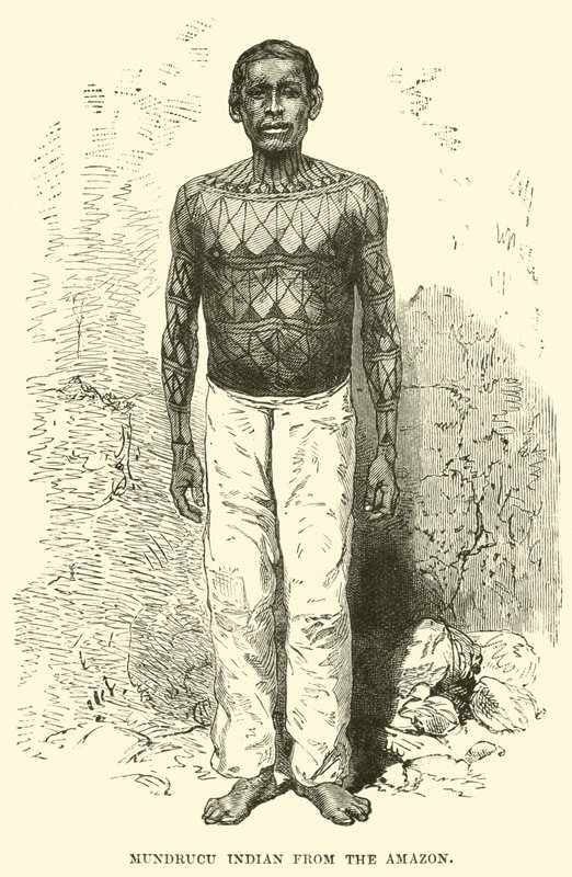 Mundrucu-indianer fra Amazonas av English School