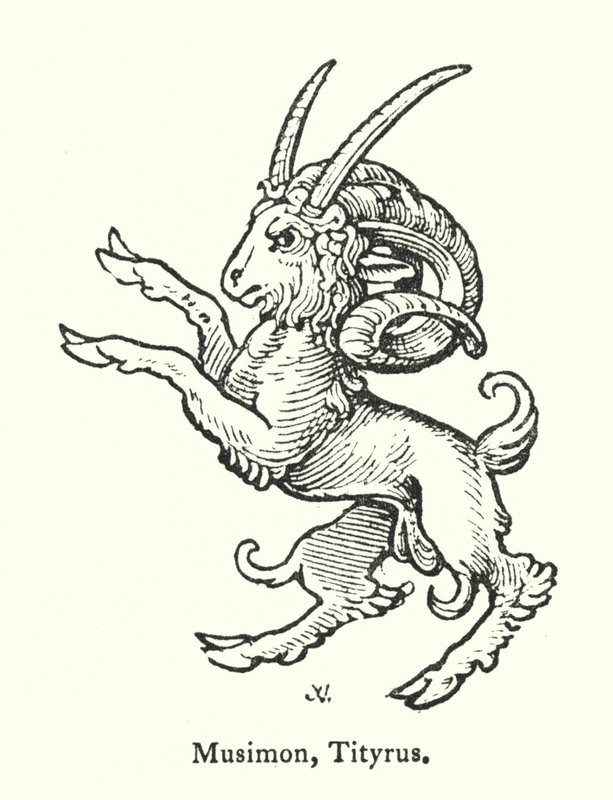 Musimon, Tityrus (gravering) av English School