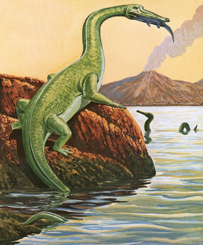 Nathosaurus spiser et måltid av English School