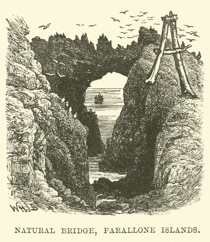 Natural Bridge, Farallone-øyene av English School