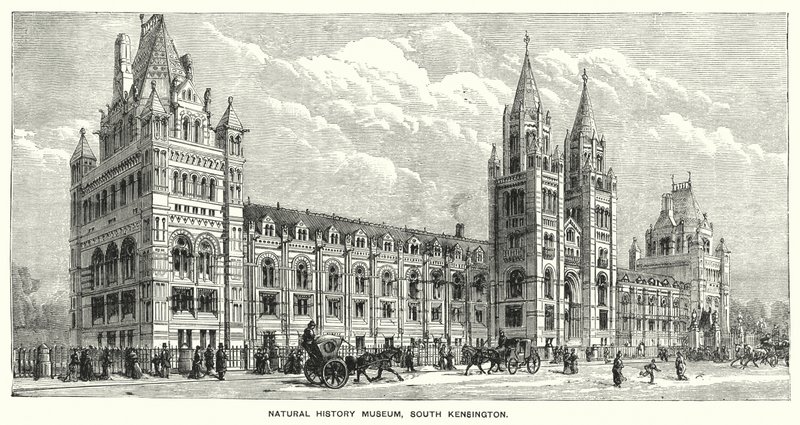 Natural History Museum, South Kensington (gravering) av English School