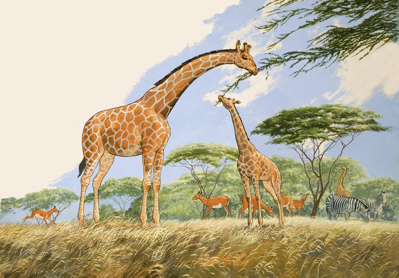 Nature Wonderland: High Tea for the Giraffe av English School