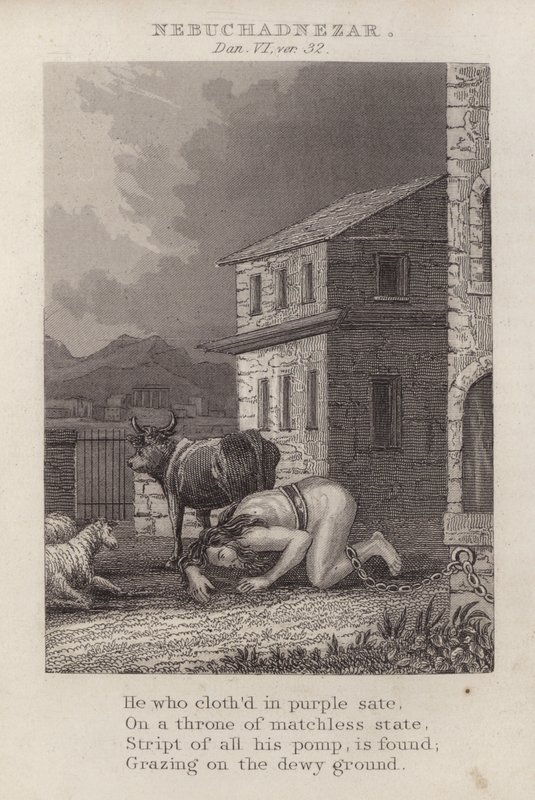 Nebukadnesar, Daniel VI, ver 32 (gravering) av English School