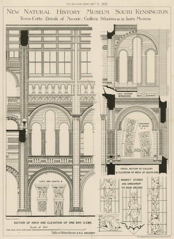 New Natural History Museum, South Kensington, London av English School