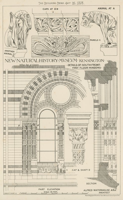 New Natural History Museum, South Kensington, London av English School