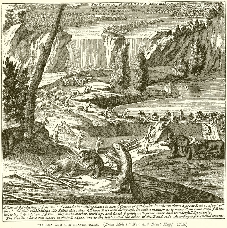 Niagara og Beaver-demningene av English School