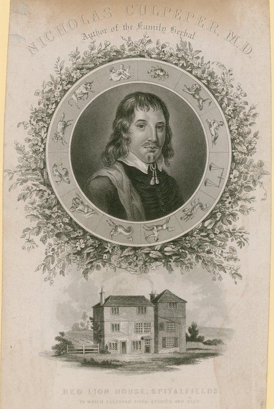 Nicholas Culpepper, MD av English School