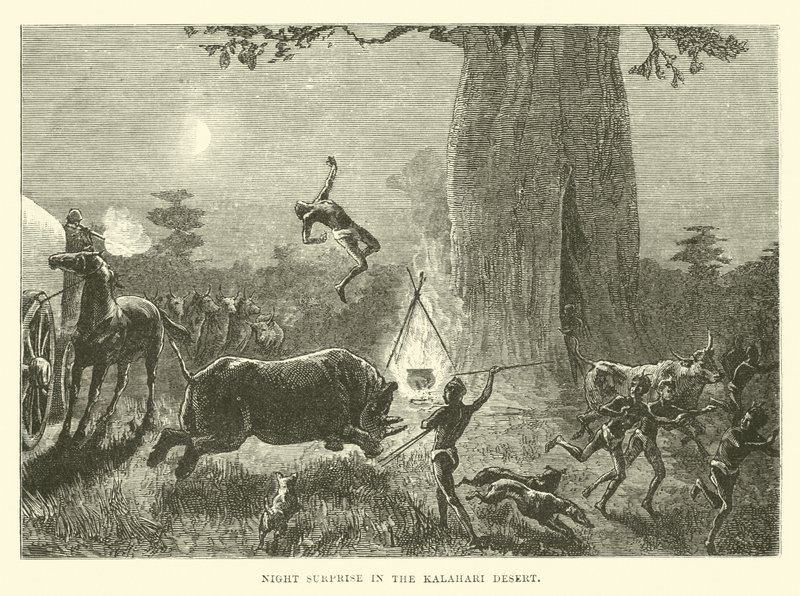 Nattoverraskelse i Kalahari-ørkenen av English School