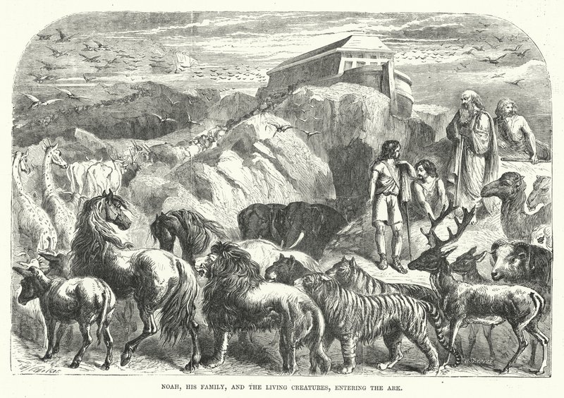 Noah, familien hans og de levende skapningene går inn i arken (gravering) av English School