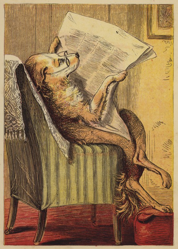 Old Mother Hubbard (farget gravering) av English School