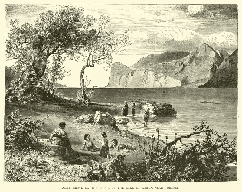 Olive Grove ved bredden av Gardasjøen, nær Torbole av English School