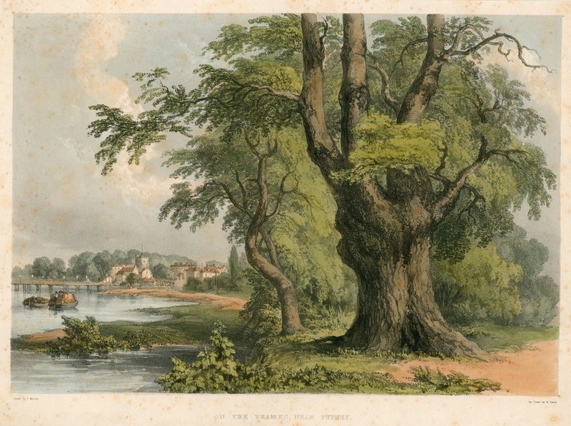 Ved Themsen, nær Putney, London av English School