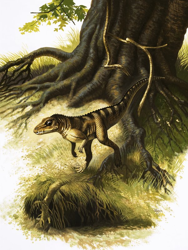 Onithosuchus av English School