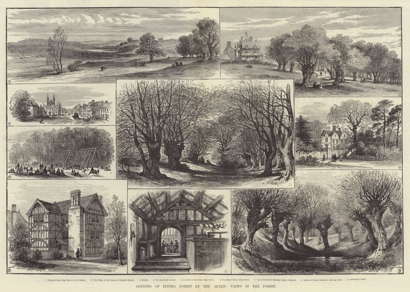 Åpning av Epping Forest by the Queen, Views in the Forest (gravering) av English School