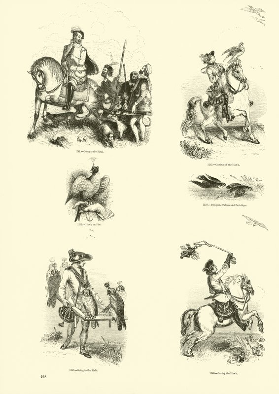 Side fra The Pictorial Museum of Animated Nature av English School