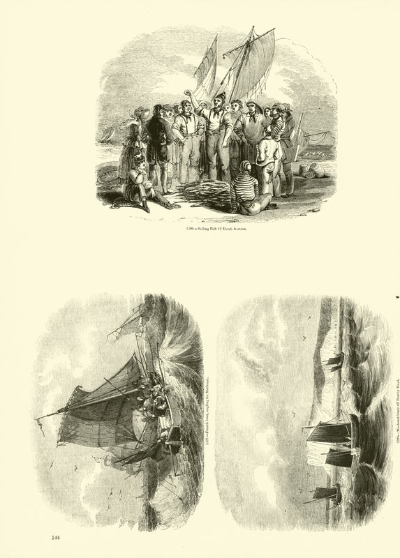 Side fra The Pictorial Museum of Animated Nature av English School