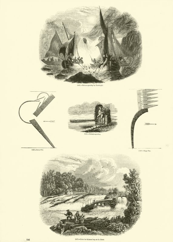 Side fra The Pictorial Museum of Animated Nature av English School