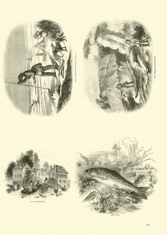Side fra The Pictorial Museum of Animated Nature av English School