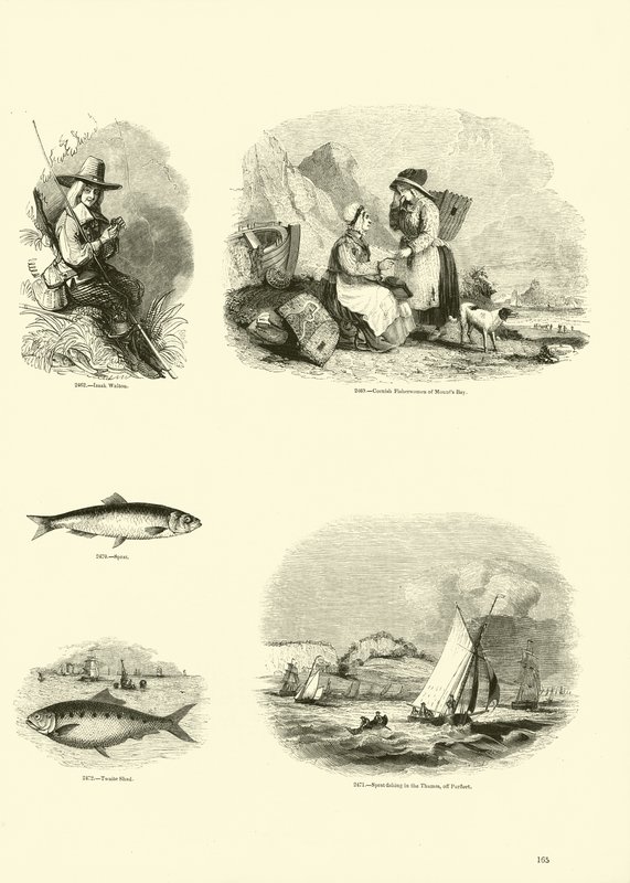 Side fra The Pictorial Museum of Animated Nature av English School