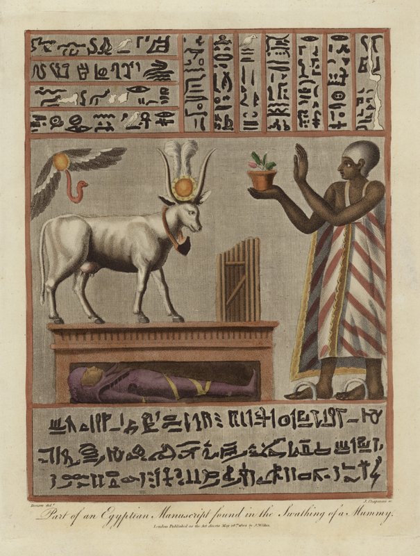 En del av et egyptisk manuskript funnet i en mumie av English School