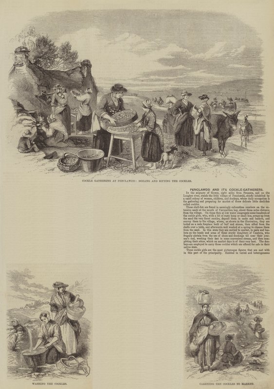 Penclawdd and its Cockle-Gatherers (gravering) av English School